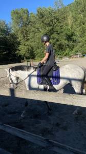 Selle de dressage antares