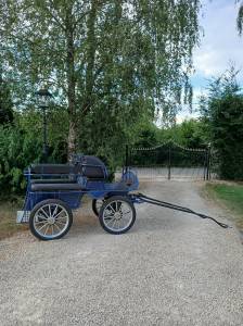 Coche enganches - Calesa   