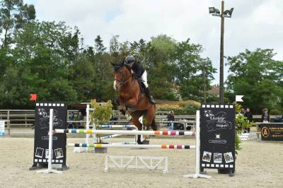 Cheval de sport avec moyen