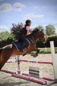 Merrie Franse rijpony PFS Te koop 2022 Donker bruin / bai ,  OPPLALA ST HYMER