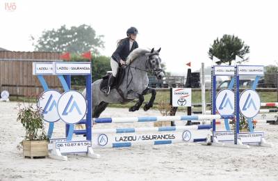 Merrie Connemara Te koop 2021 Schimmel