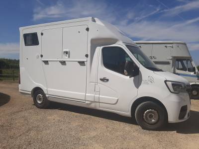 Renault master transport chevaux