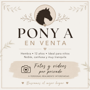 Venta pony A