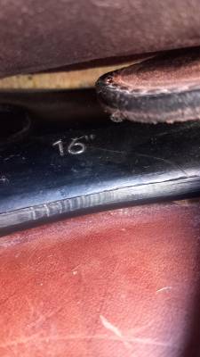 Selle randonnée podium cuir 16'' complète 