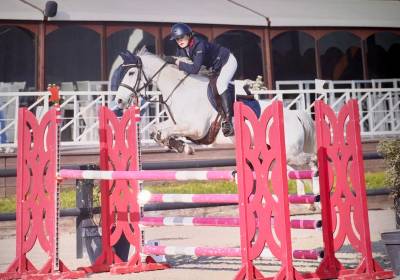 Oise: poney d as2/as1 à vendre