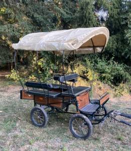 Rijtuigen - Wagonnette Dominiak  