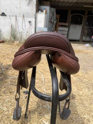 Selle acavallo Modigliani 17