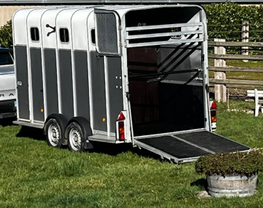 Trailer Ifor Williams HB510XL Jumbo 3 Cavalli 2017 Occasione
