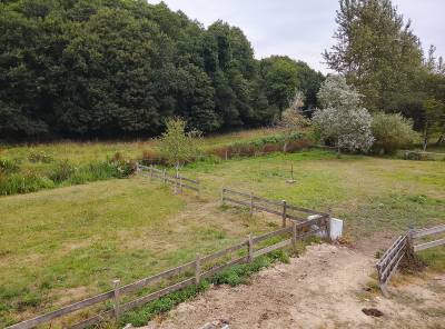 A louer petite structure equestre