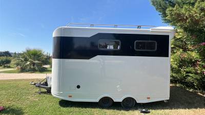 Trailer Steinsberger 3 chevaux  3 Cavalli 2015 Occasione