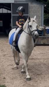 Lieve en brave welsh pony d