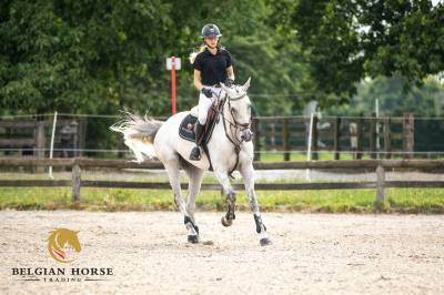 Shere Khan du Banney x Cento
