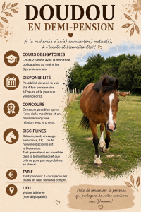 Gelding No Origin Recorded Part-Livery 2012 Bay