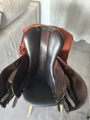 Sella mista equipe  17.5