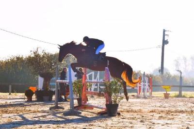 Elevage de beloye  