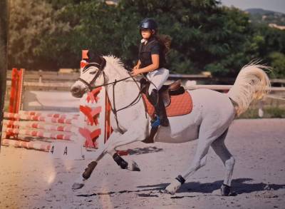 Sella junior / sella pony forestier  16