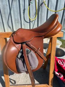 Sella mista bates  17.5