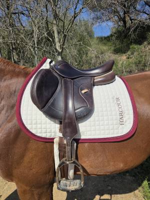 Selle ikonic light jumping 