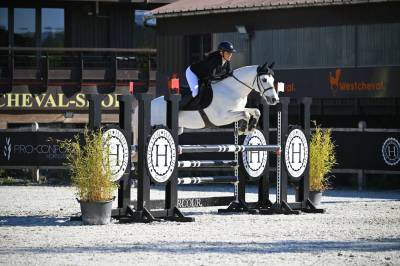 Poney cso as2/as1