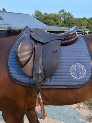 Selle cwd se02 – 17,5 – très bon état