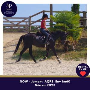 Jeune aqps top mental