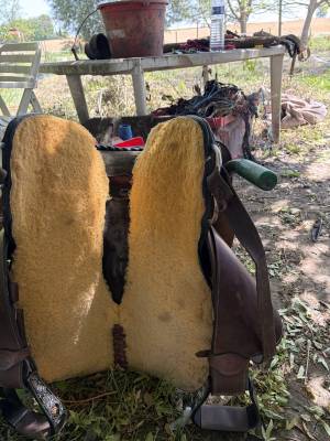 Selle western barel 15 pouce fqhb
