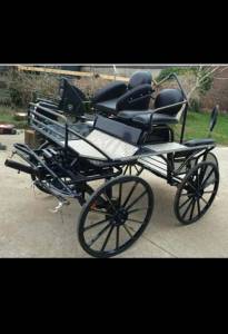 Carriage - Marathon for competition - Other brand - Marathon  