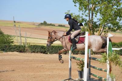 Poni C salto de obst&aacute;culos y completo