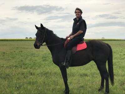 Caballo castrado aqps donación 2006 bayo moreno por trivellino