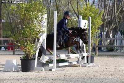 Cavalla shetland mezza-pensione 2011 nero