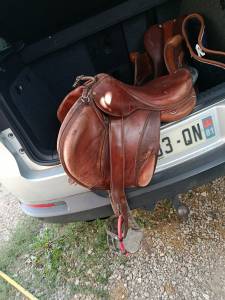 Selle cwd endurance  16.5 pouces 