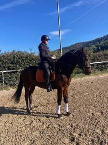 Cheval de sport