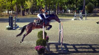 JHONNY DU THAR &ndash; Hongre SF &ndash; 7 ans &ndash; 1,73 m