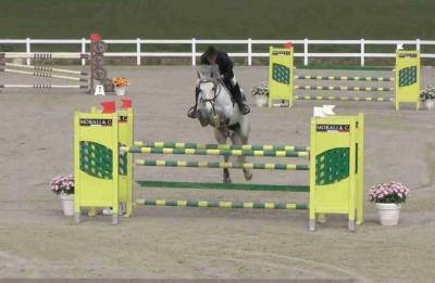 Cavalla francese 10 anni