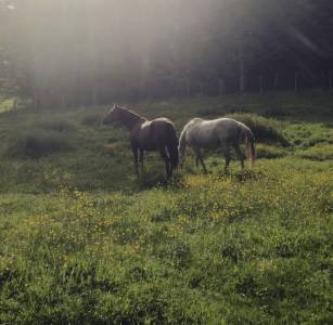 &Agrave; louer &ndash; Secteur Entre-deux-Mers / Le Pout (Gironde - 