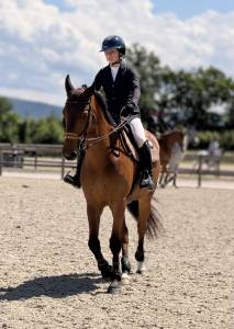 Jument de sport cso 
