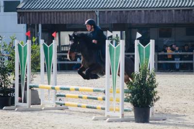Ponette de 16ans 