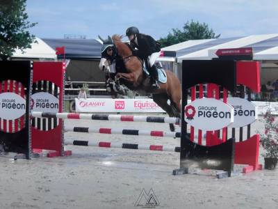 Merrie Franse rijpony PFS Te koop 2017 Vos ,  POPSTAR DES NOUETTES
