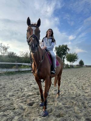 Cheval à vendre magnifique pur-sang anglais polyvalent 