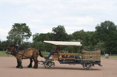 Attacchi - Calesse - Altra marca - CAMPAGNE 160 HANDY 