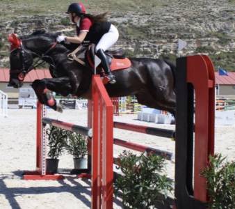 Cesión caballo