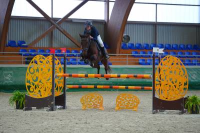 Gelding zangersheide for sale 2018 bay