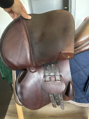 Sella mista equipe  17.5