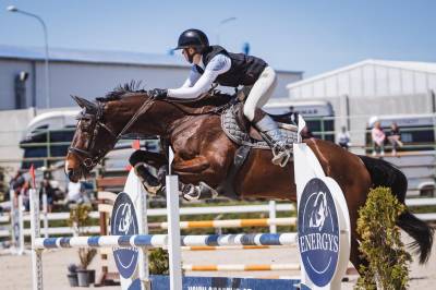Winning gelding for children/ junior classes