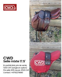 Selle cwd 17.5