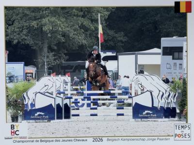 Hongre sbs - (versace van de ruithershoeve x rascalino)