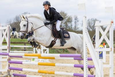 Merrie New Forest Te koop 2012 Wit