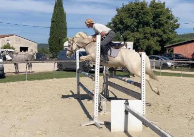 Hongre - pfs - 9 ans - cce /cso/ polyvalent - france