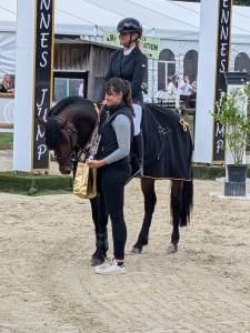 Super poney de 7 ans, étalon pfs agré