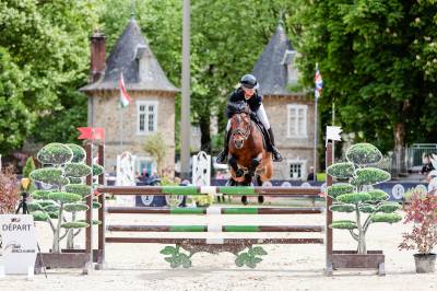 Stallone pfs pony francese da sella in vendita 2019 baio scuro ,  rasmus sl